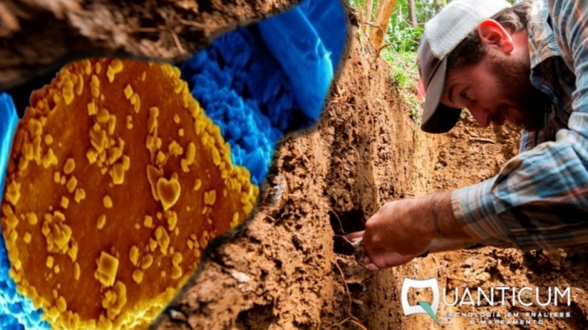 Qualidade das argilas e agricultura 4.0: o DNA do solo e aplicações no dia a dia do campo