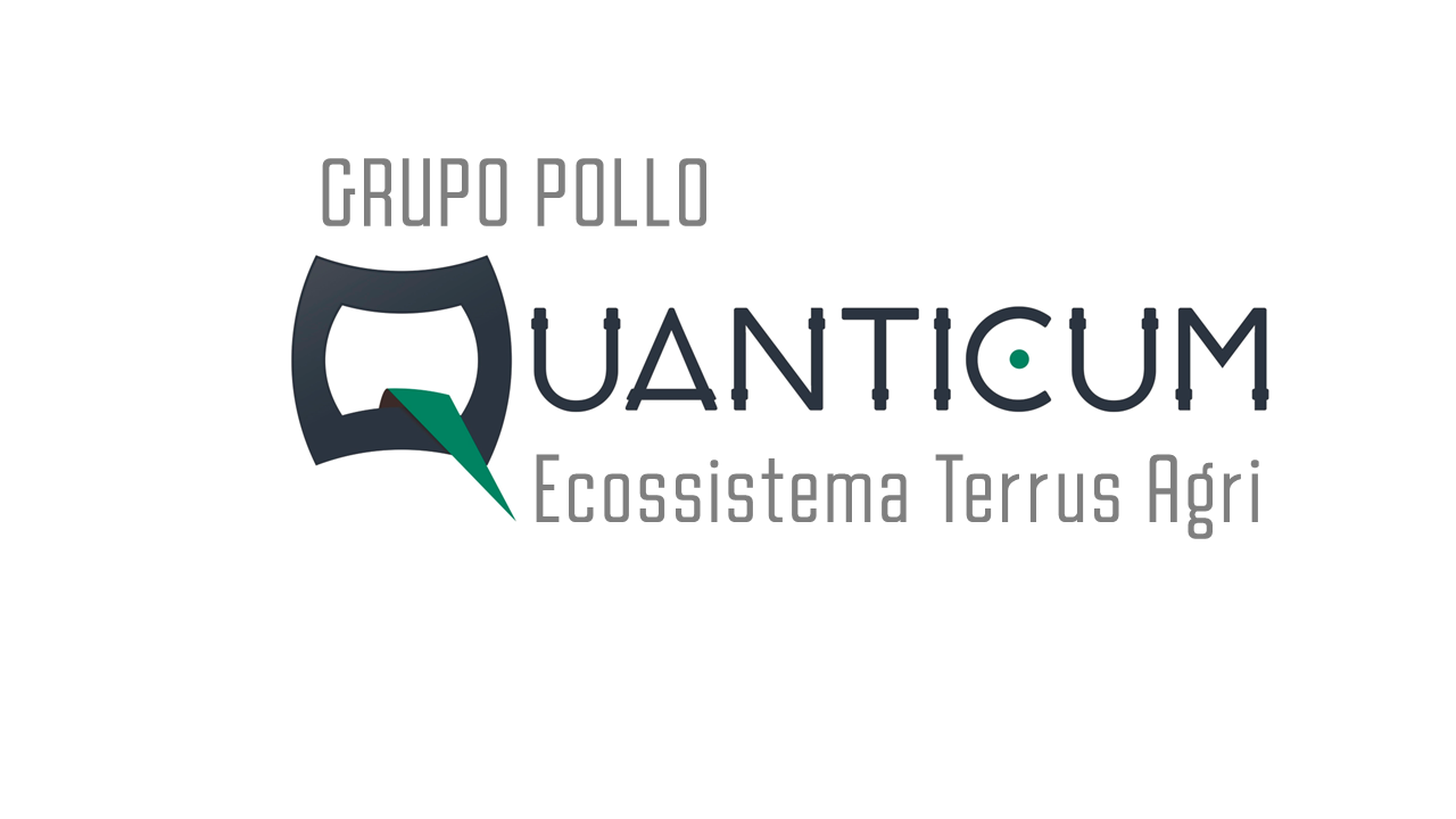 Quanticum Grupo Pollo