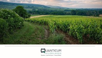 6 Dicas para um Preparo de Solo Eficiente e Sustentável