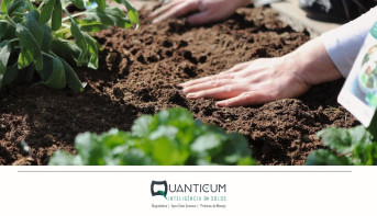 Sustentabilidade e Agroecologia: Inovação para um Agro mais Verde e Rentável