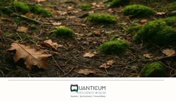 Quanticum e TreeX na Expedição Silvicultura 2025