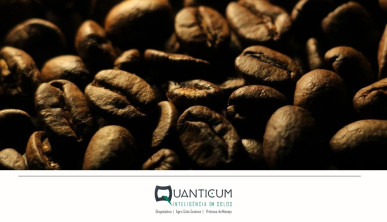 Aceita uma xícara de café? Descubra como melhorar sua produção e reduzir custos!