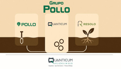 Grupo Pollo: ciência do solo que impulsiona o futuro do agronegócio