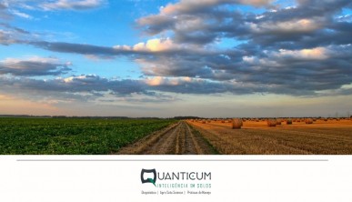 Maximizando a Produtividade Agrícola: Investimentos Estratégicos e Manejo de Recursos