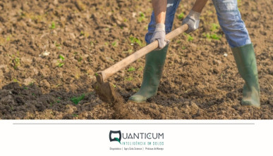 O custo invisível do solo mal compreendido