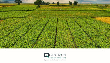 Solo saudável, decisão inteligente