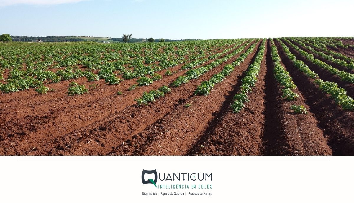 Decisões Baseadas no Solo